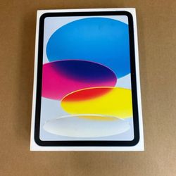 IPad Wi-Fi 256GB - Blue