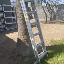 Gorgeous 12ft Ladder 