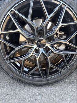 Single Rim