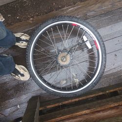 26-in 24 Volt Power Wheel For Electric Bike Conversion