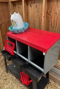 Little Giant 3 Hole Nesting Box with Feeder