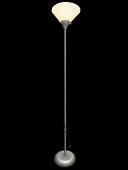 Floor Lamp FREE