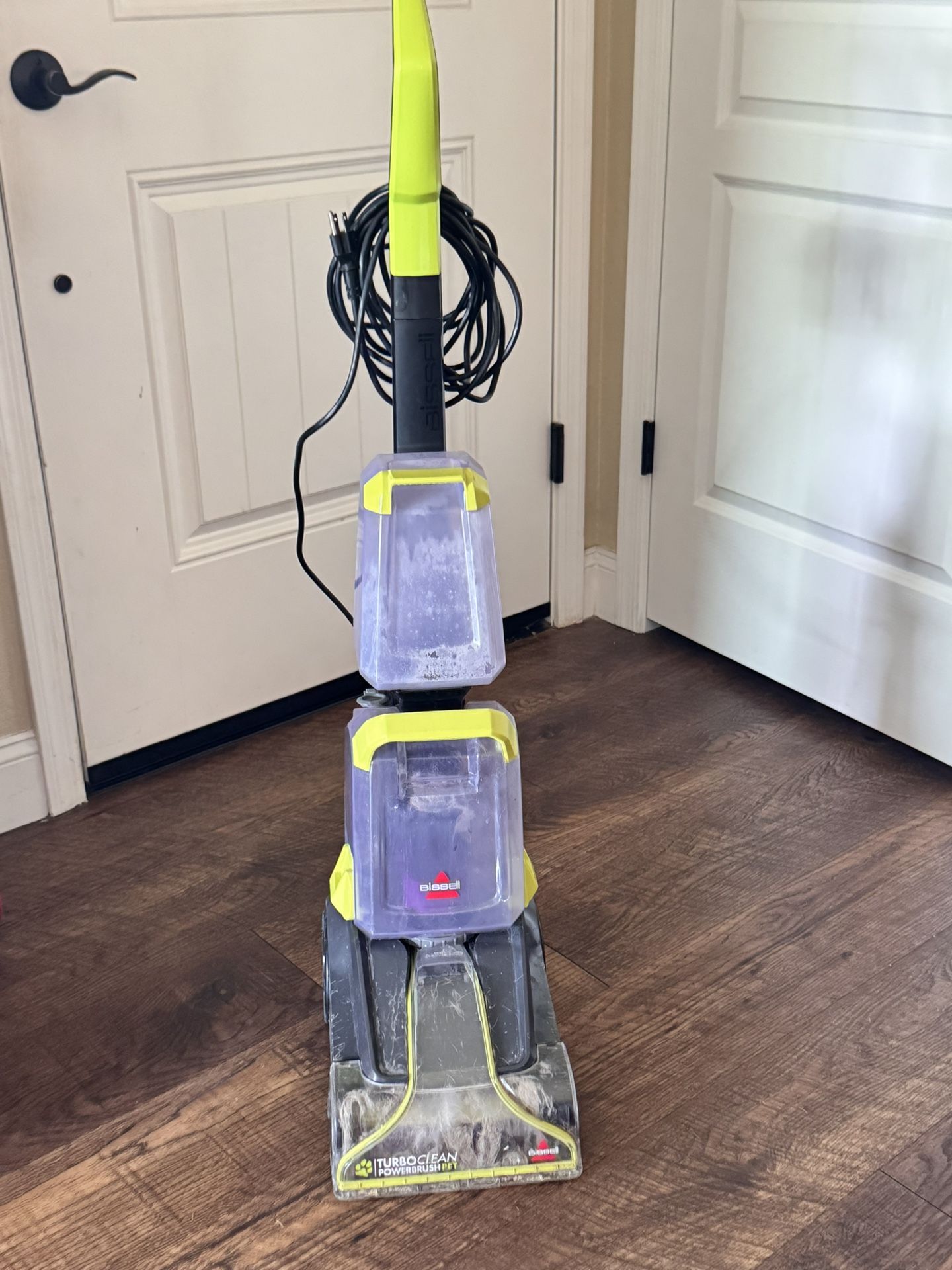 Carpet Cleaner