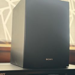 Sony Passive Subwoofer 