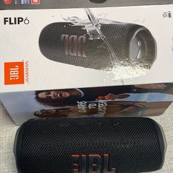 Jbl Flip6