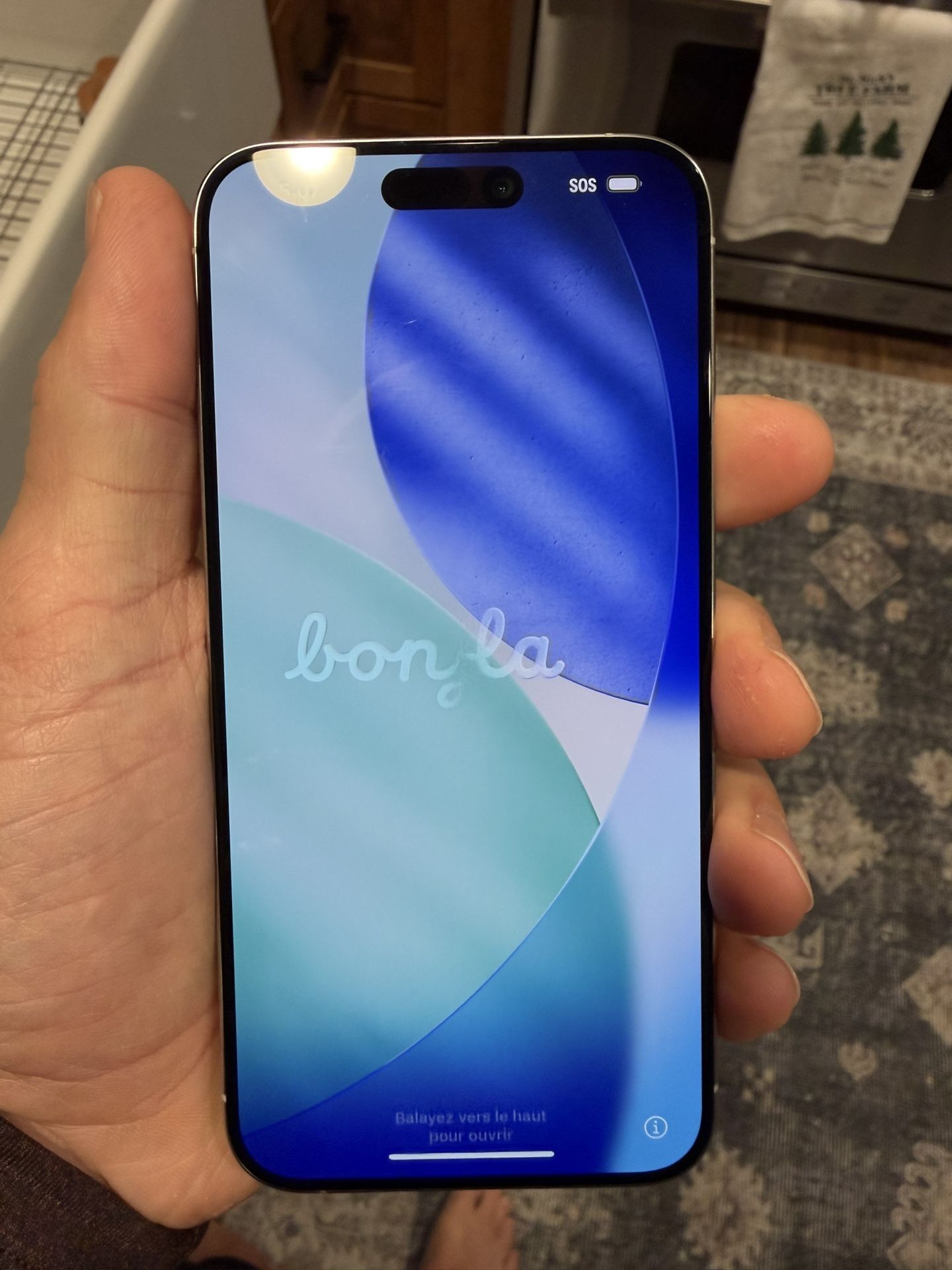 iPhone 15 Pro Max 256 Gb