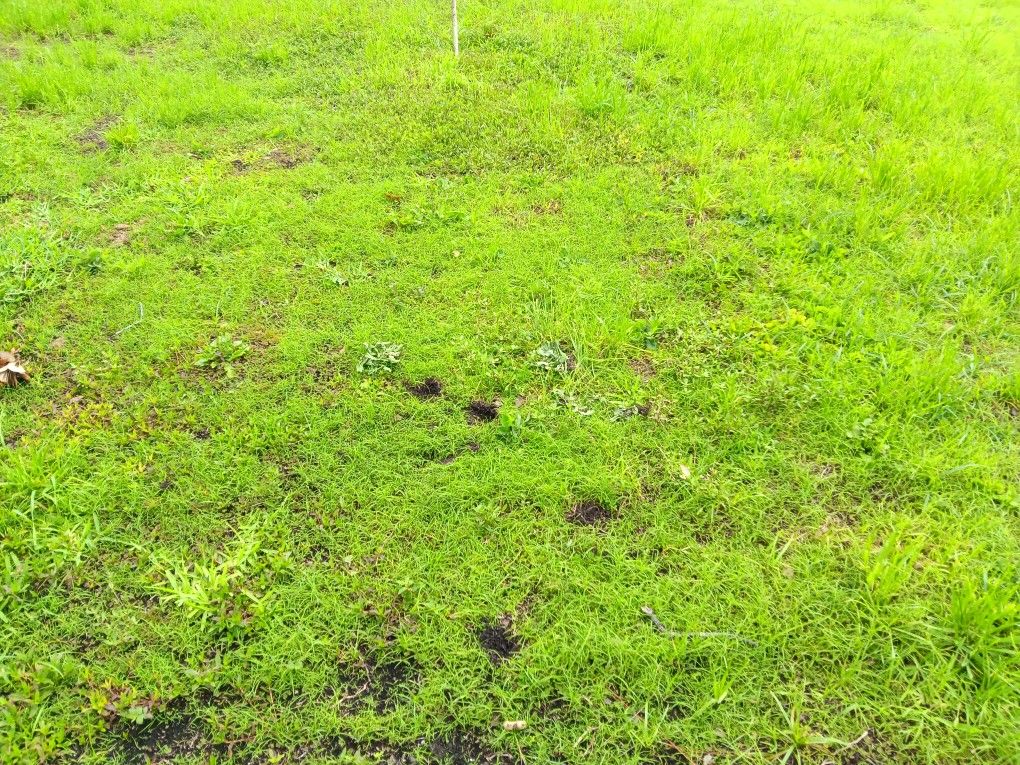 Corner Lot 1/2 Acre