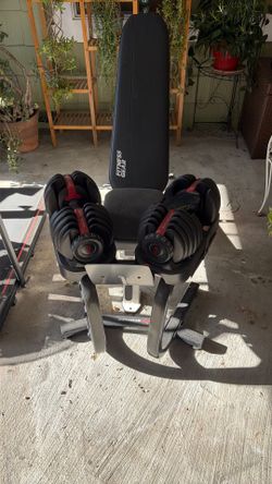 Complete Gym Set