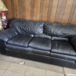 Couch With Pullout Bed 
