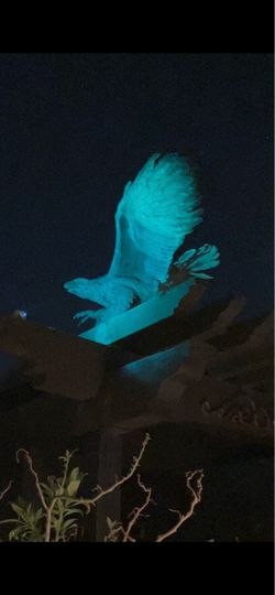 Bronze eagle