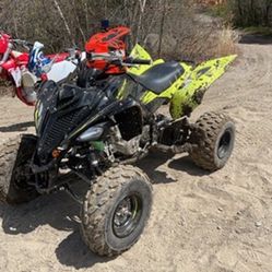 Yamaha Raptor