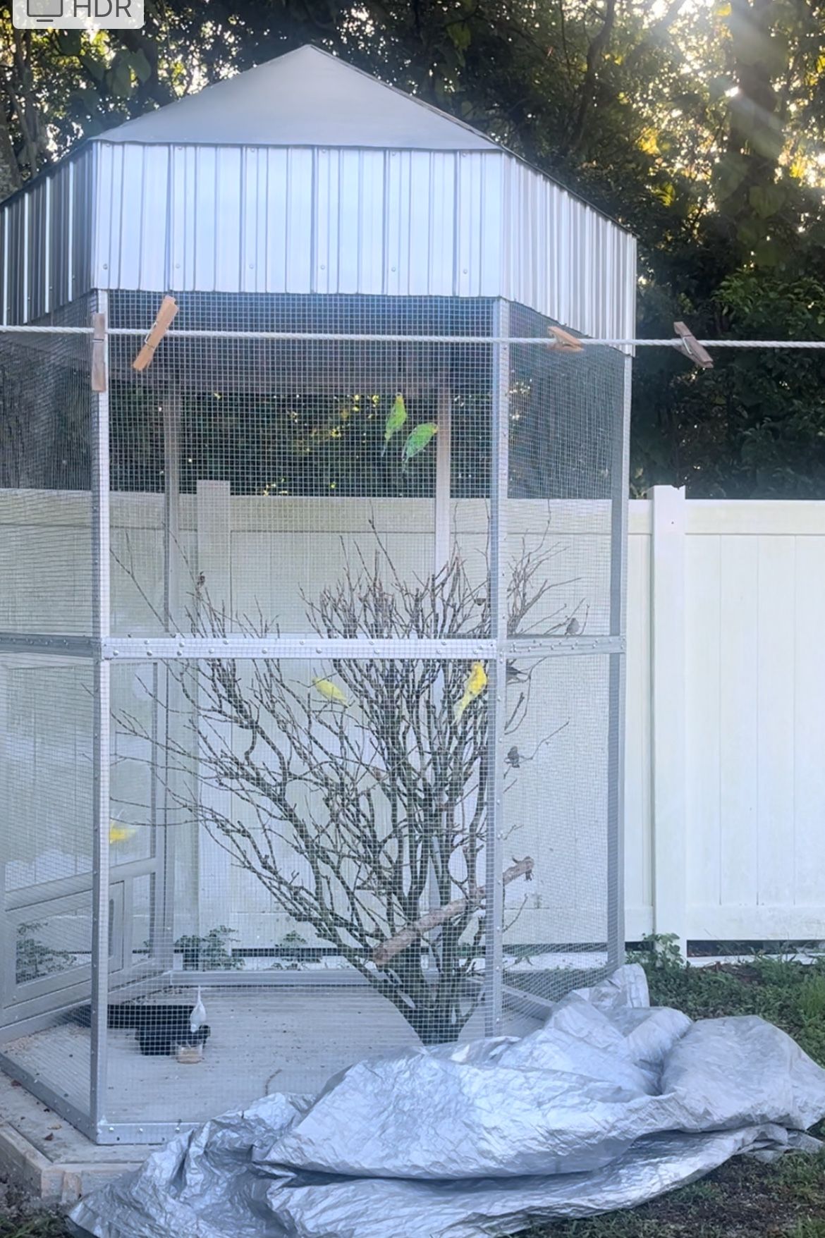 Bird Cage