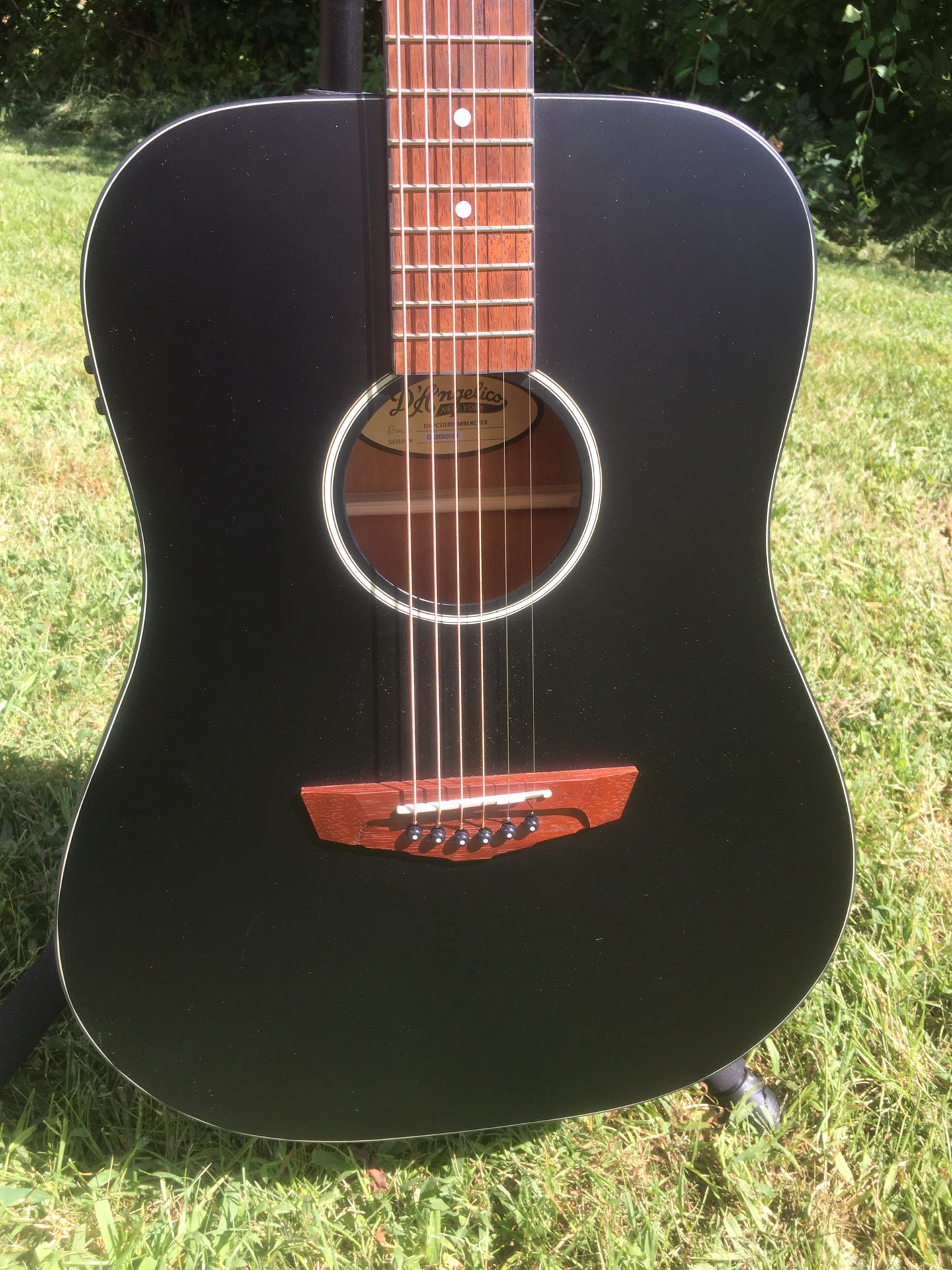 Dangelico Premier Acoustic Electric 6 String Guitar 