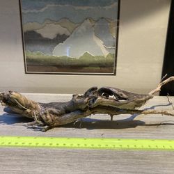 Aquarium/reptile Decor