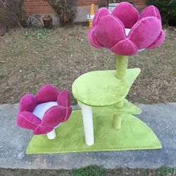  Cat Tower And Raised rattan cat bed