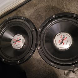 10" Subs