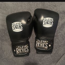 Cleto Reyes Training Gloves 