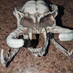 Predator Skull