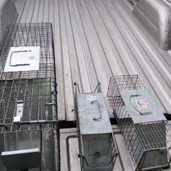 Live Animal Traps 