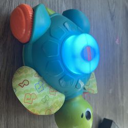 Moving Musical Turtle