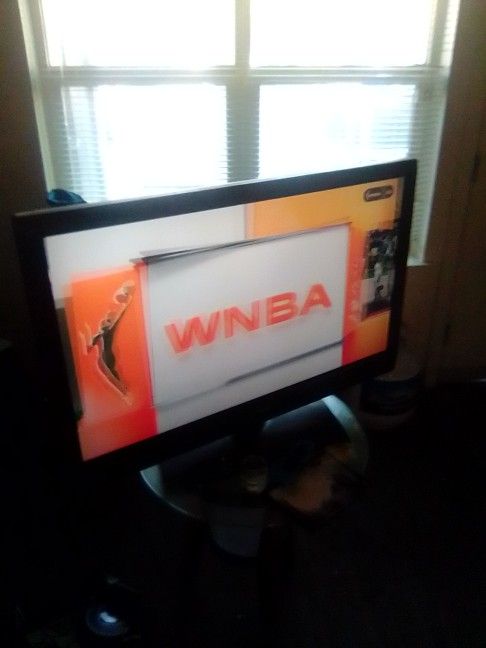 25 Insignia Flat Screen TV