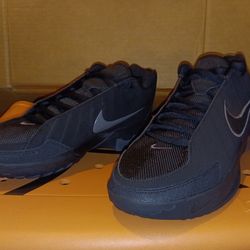 Nike LeBron Witness