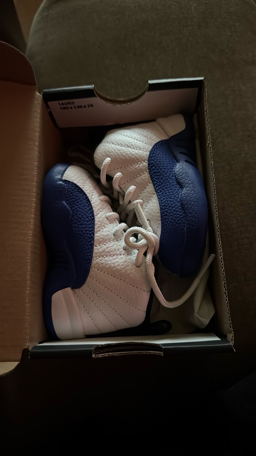 Toddler Jordan Retro 12