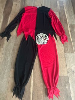 Adult jester costume large