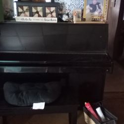 Young Chang upright let's Make a deal