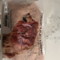 Dog’s Lion Mane
