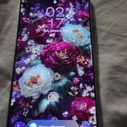 Samsung Galaxy S25 Ultra 