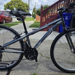 Raleigh Mountain Bike XXSmall