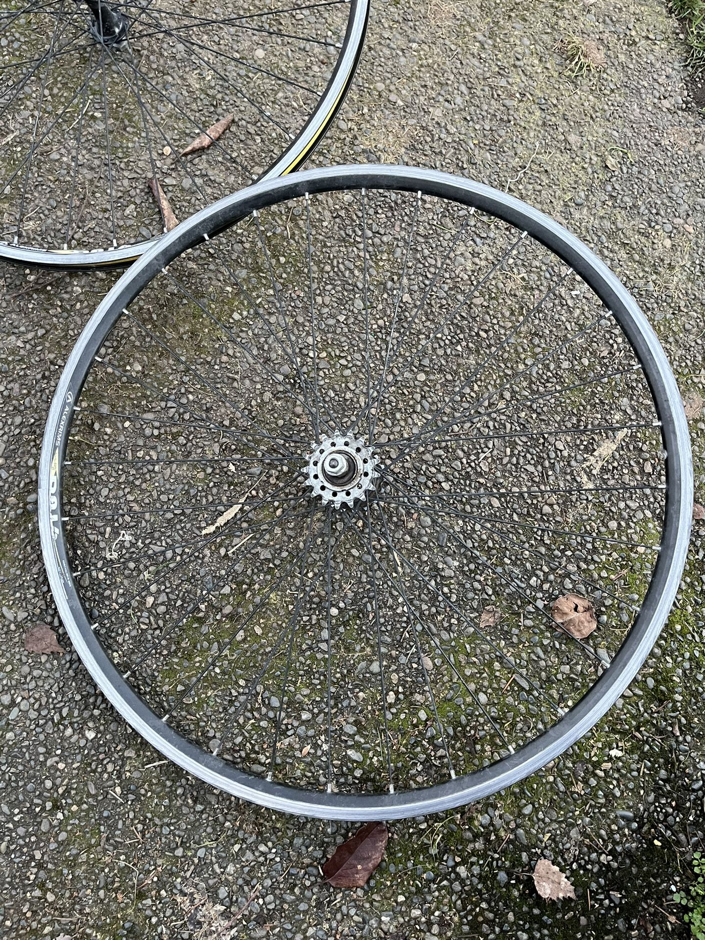 Alexrims DA16 Wheelset