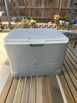 Igloo Cool Chill thermoelectric cooler/fridge 12V/120V/230V