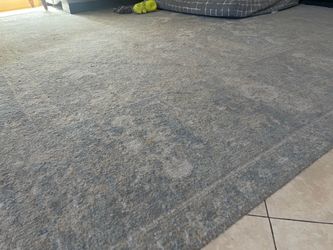 FREE 8x10 blue/gray indoor rug