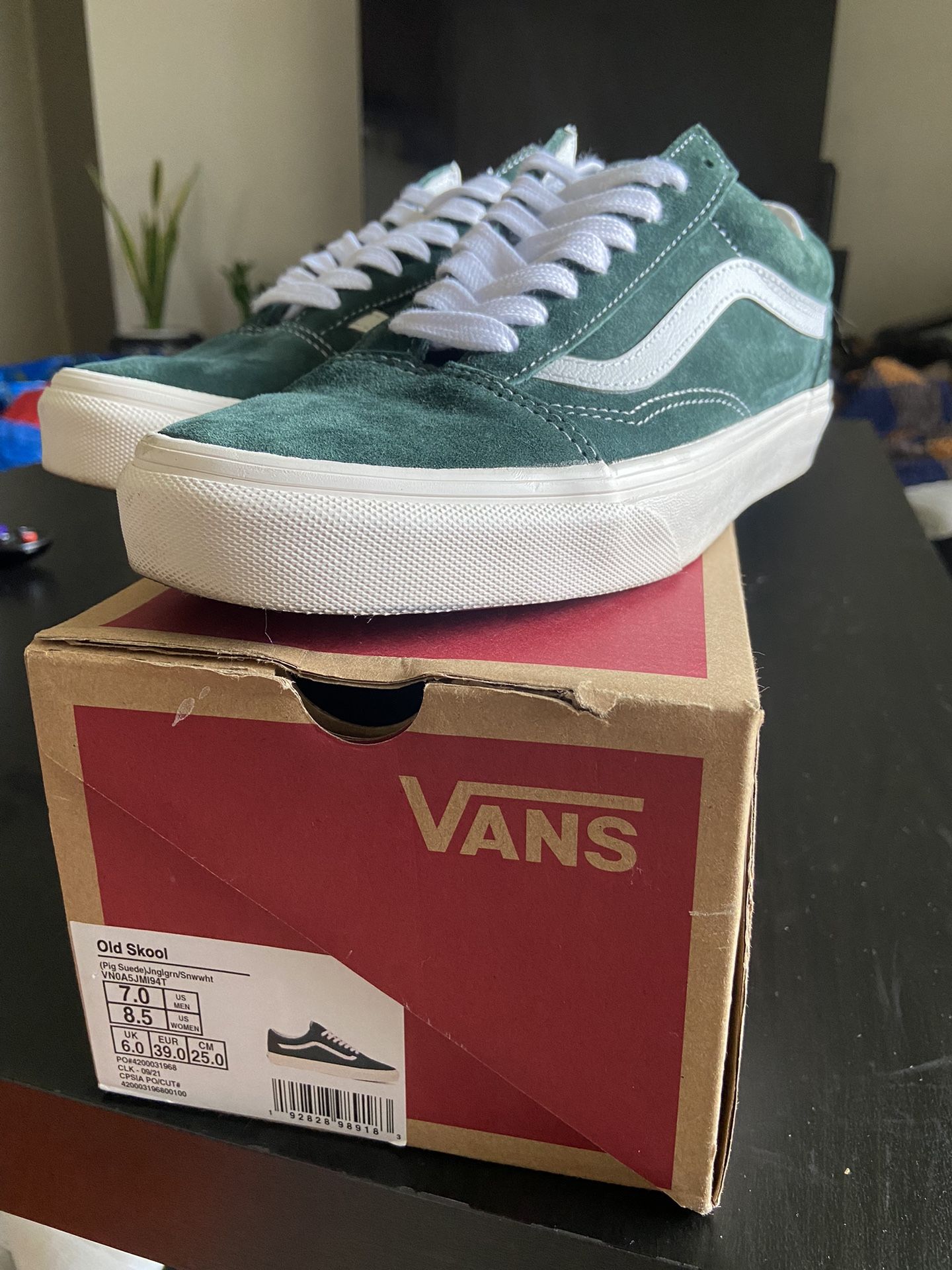 Women’s Vans