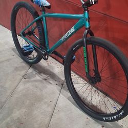 Throne 29er