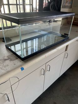 Reptile Enclosure Tank