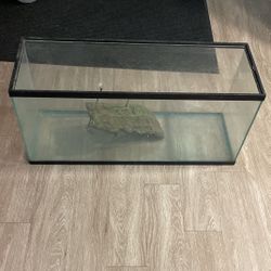 Giant Aquatic/Reptile Tank