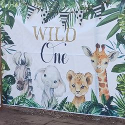 Wild ONE  Party PACK 