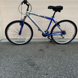 Men’s Mountain Bike.