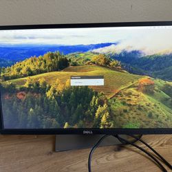 Dell 24” Monitor