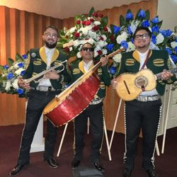 Mariachi Trumpet violin Guitar Guitarron
