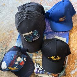 (10) New Disney caps& (1) Disney Cruise line book bag 