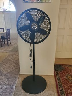 Fan