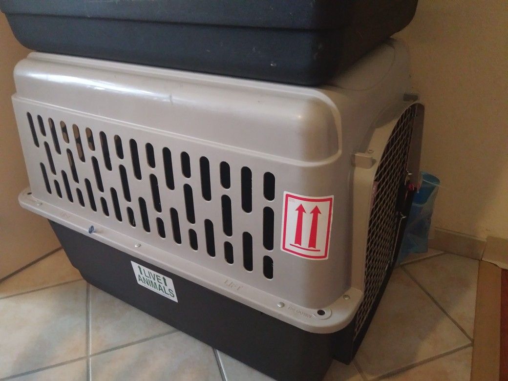 Air Travel Pet Kennel