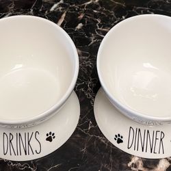 Nice, Like New Glass Prefurred Pet Elevated Food and Water Bowl Set for Cats and Small Dogs.
