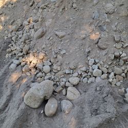 Free Diet With River Rocks