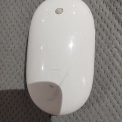Apple Mouse 