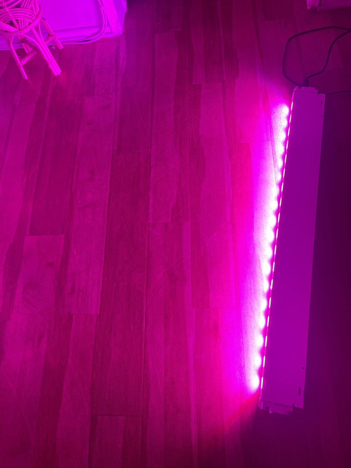 DJ World LED Light Color Pink/purple